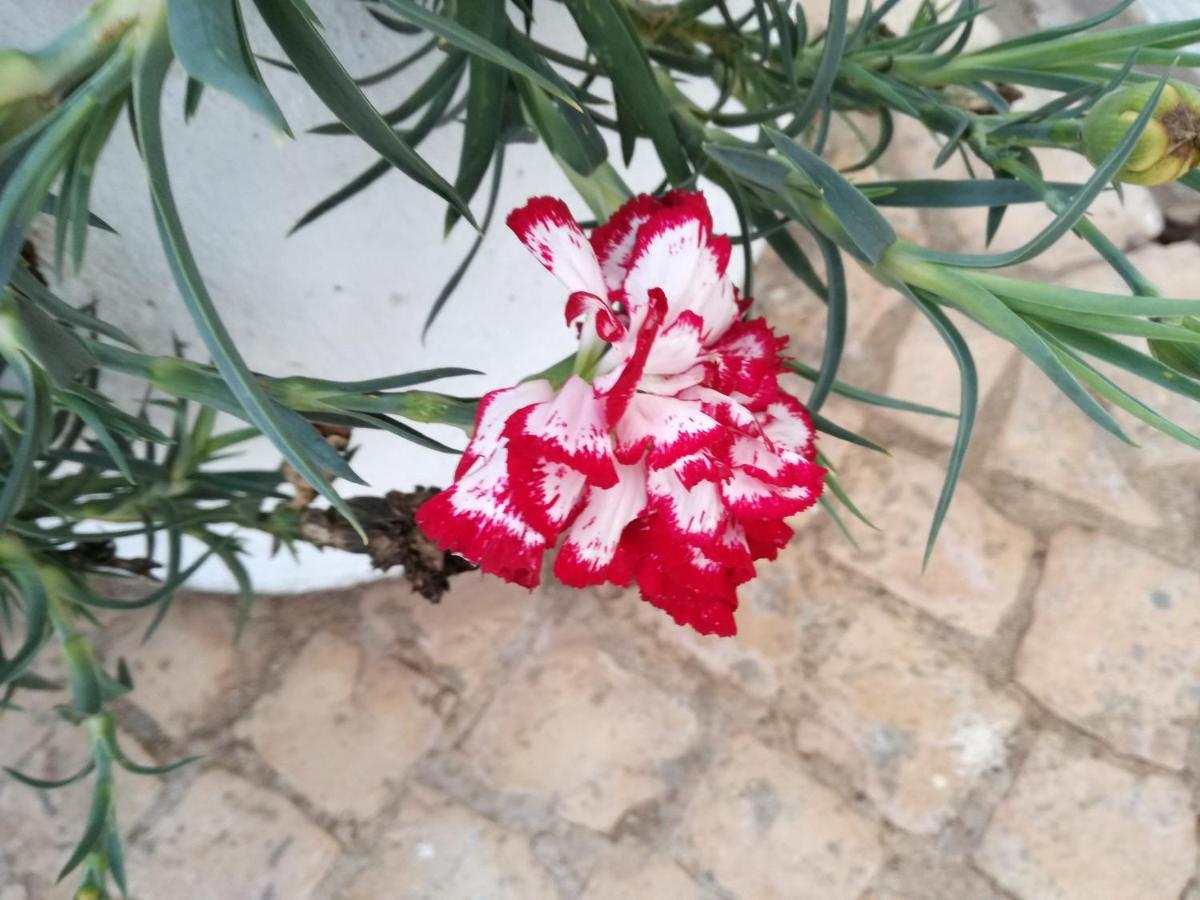 לאגוּ‏ש Casa Toscano מראה חיצוני תמונה